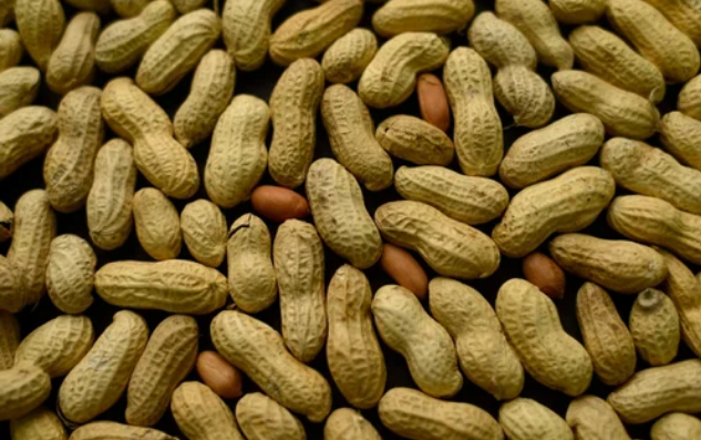 Indian Groundnut